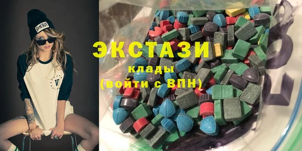 ECSTASY Богданович